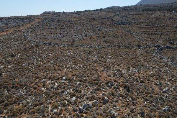 Kreta, Kokkino Chorio: Grundstück in ruhige Lage mit majestätischer Aussicht zu verkaufen