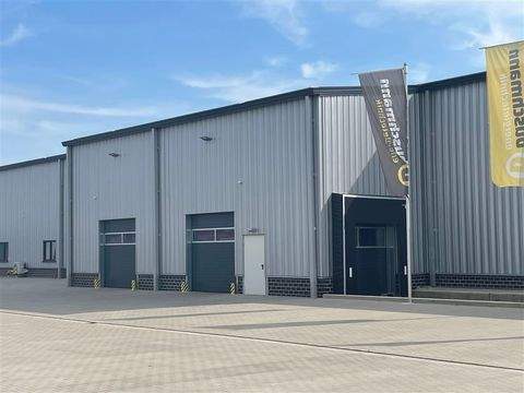 Twistringen Halle, Twistringen Hallenfläche