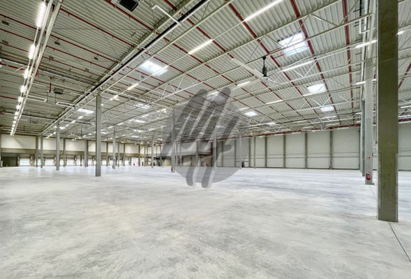 INFOS UNTER: 06171-586000