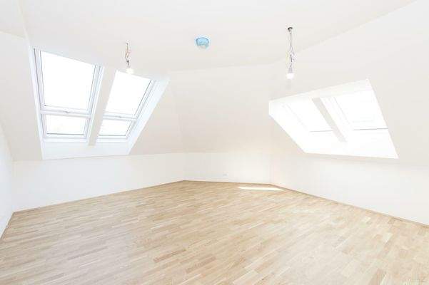 Erstbezugswohnung Leibnitz 1