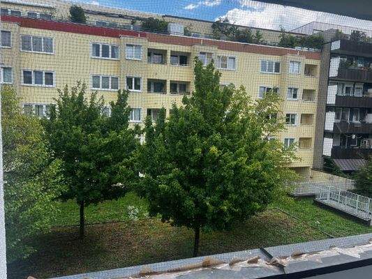 Blick in den ruhigen Innenhof