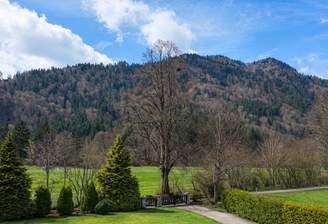 Ausblick