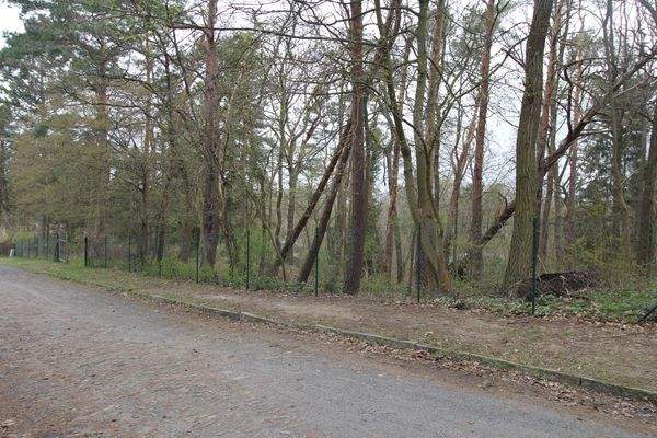 Grundstück von vorne