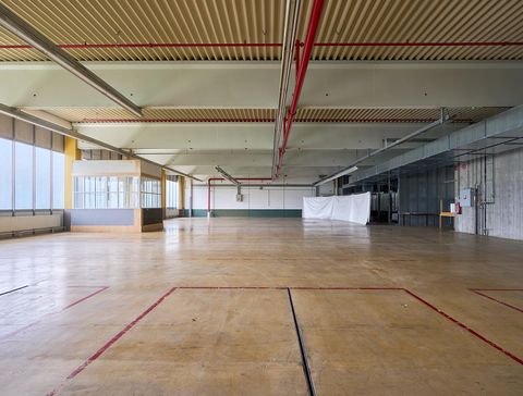 Göppingen Halle, Göppingen Hallenfläche