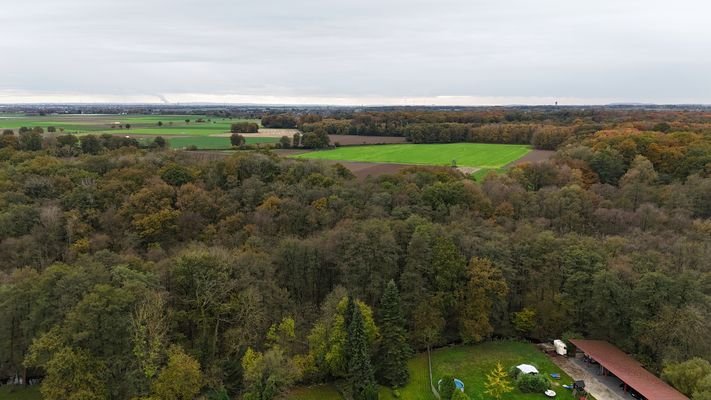 Naturschutzgebiet hinterm Haus