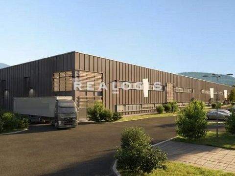 Rosbach vor der Höhe Halle, Rosbach vor der Höhe Hallenfläche