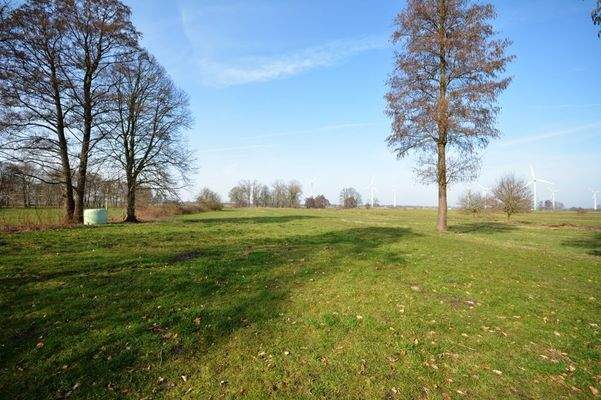 Aussicht nach Hinten