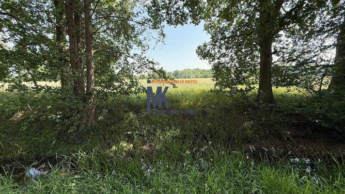 Bahlumer  Bach - Grenze