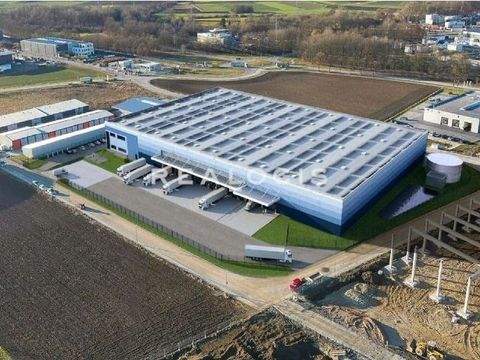 Oberursel (Taunus) Halle, Oberursel (Taunus) Hallenfläche