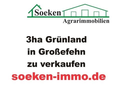 Großefehn Bauernhöfe, Landwirtschaft, Großefehn Forstwirtschaft