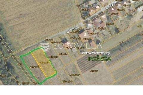 Pozega Bauernhöfe, Landwirtschaft, Pozega Forstwirtschaft