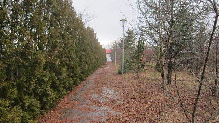 RMH Mainz 128 - Vorschau Grundstück