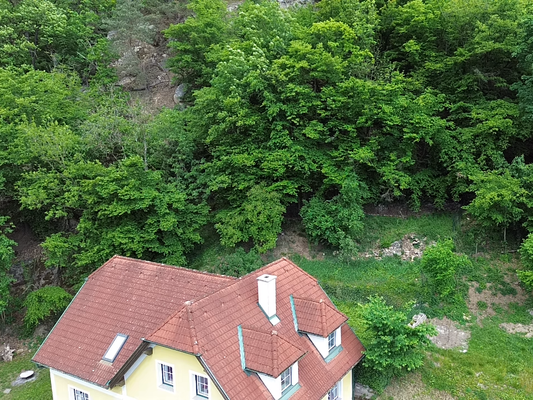 Aussenansicht Garten