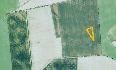Delitzsch Bauernhöfe, Landwirtschaft, Delitzsch Forstwirtschaft