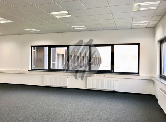 INFOS UNTER: 06171-586000