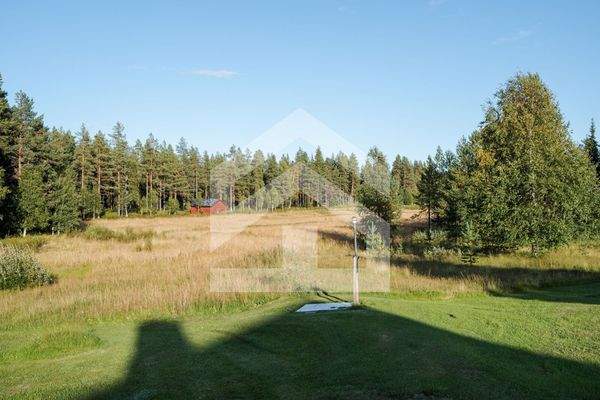 Bild 41