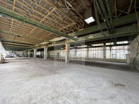 Gera Halle, Gera Hallenfläche