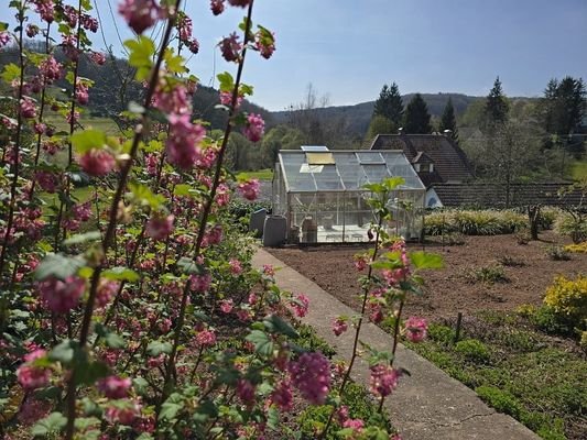 Gehwege Garten 3