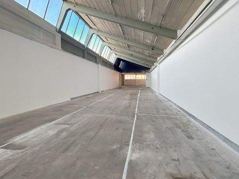 Zwiesel Halle, Zwiesel Hallenfläche