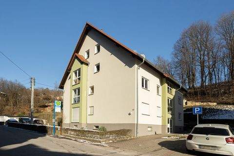 Stadt Wehlen Wohnungen, Stadt Wehlen Wohnung kaufen