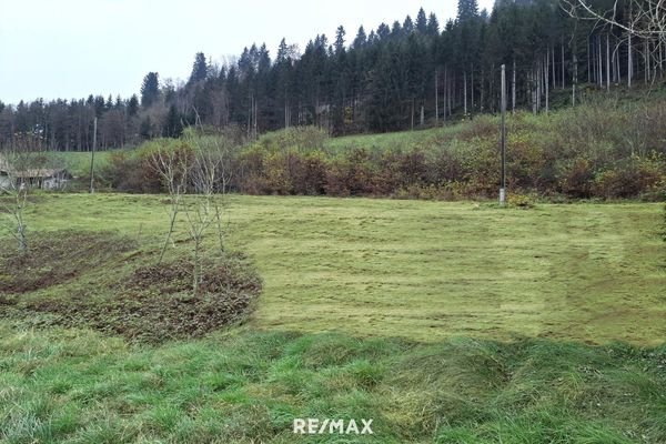 Blick auf Grundstück