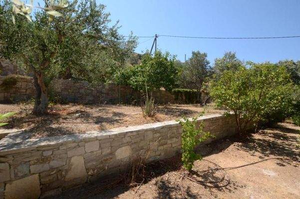 Freistehende Villa mit drei Schlafzimmern und Gästeapartment, Olivenhain und Pool