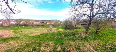 Potzneusiedl Grundstücke, Potzneusiedl Grundstück kaufen