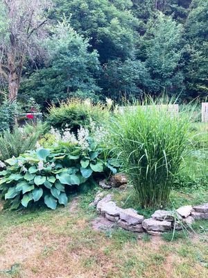 Garten.jpg