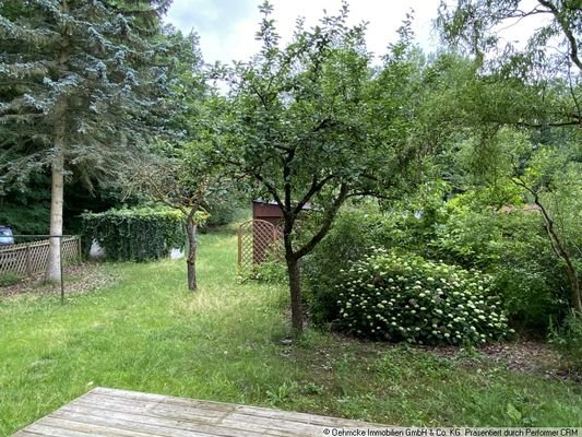 Blick in den Garten