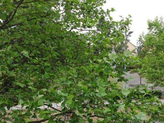 Parkblick gegenüber