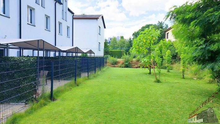 20240623_134130_resized_DxO