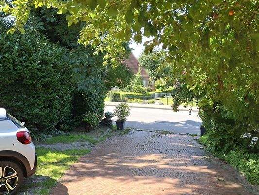 Blick zur Straße mit Parkplatzbereich für Gäste und Kunden