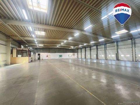 Hermsdorf Halle, Hermsdorf Hallenfläche