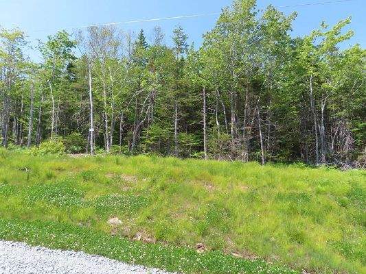 Cape Breton - Traumhaft schöne Atlantik-Lage - Pre