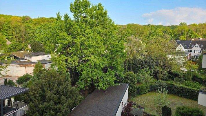 Waldausflug direkt in 5 Gehminuten.jpeg