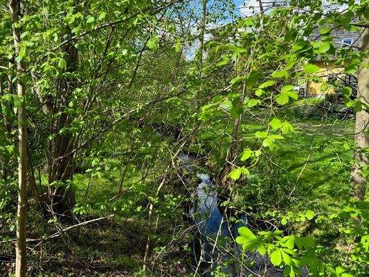 Rosenhainer Wasser (1)