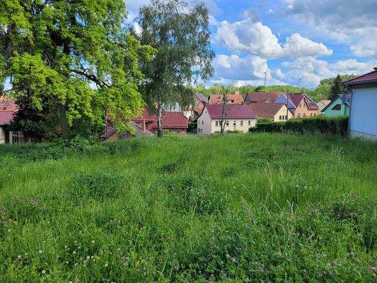 Ausblich Richtung Süd 2