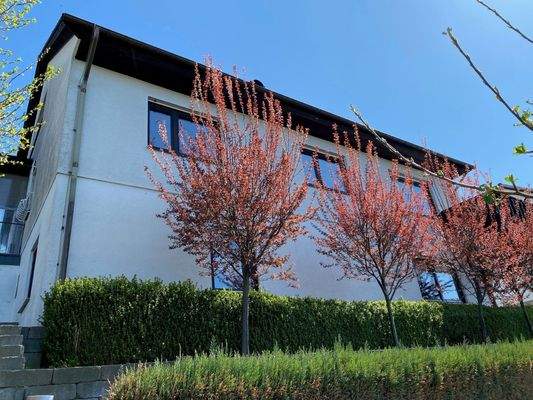 Ansicht aus dem Garten