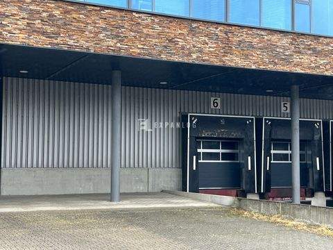 Mönchengladbach Halle, Mönchengladbach Hallenfläche