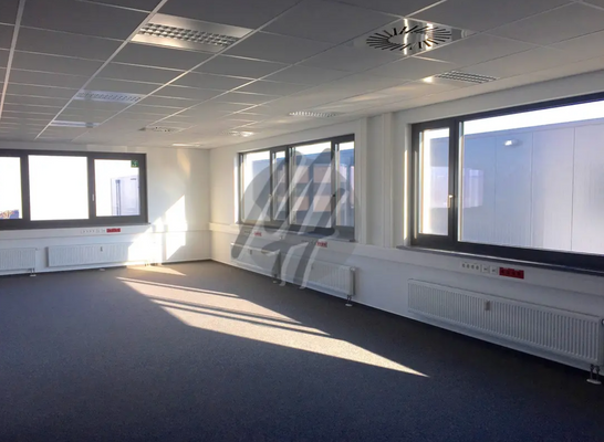 INFOS UNTER: 06171-586000