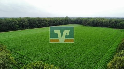 Neuenkirchen-Vörden Bauernhöfe, Landwirtschaft, Neuenkirchen-Vörden Forstwirtschaft