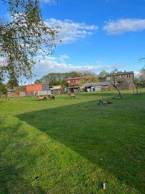 Aussen Blick aus dem Garten hinten auf die Wiese.j