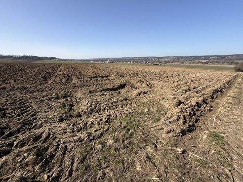 Reisbach / Niederhausen Bauernhöfe, Landwirtschaft, Reisbach / Niederhausen Forstwirtschaft