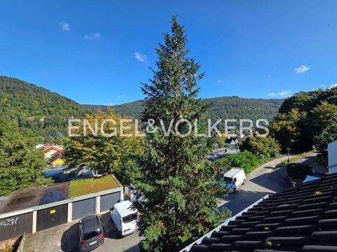 Heidelberg Häuser, Heidelberg Haus kaufen