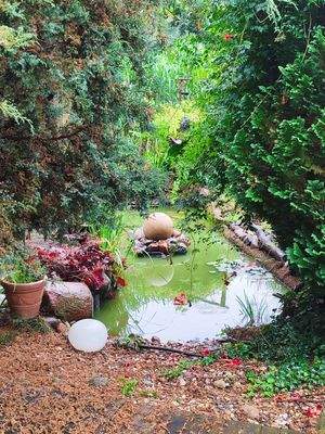 Garten vorne Gartenteich