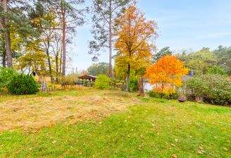 Blick Richtung Straße