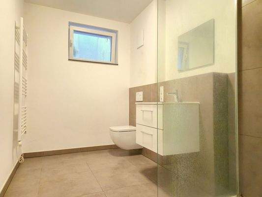 Basement: Daylight bathroom with shower