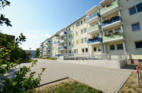 Riesa Wohnungen, Riesa Wohnung mieten