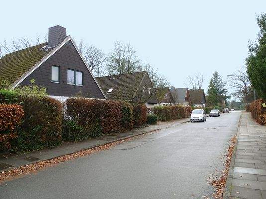 Grüne und ruhige Wohnstraße mit Einfamilienhausbebauung