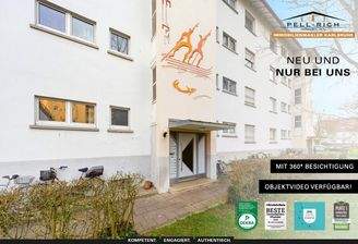 Neu & Nur bei Pell-Rich